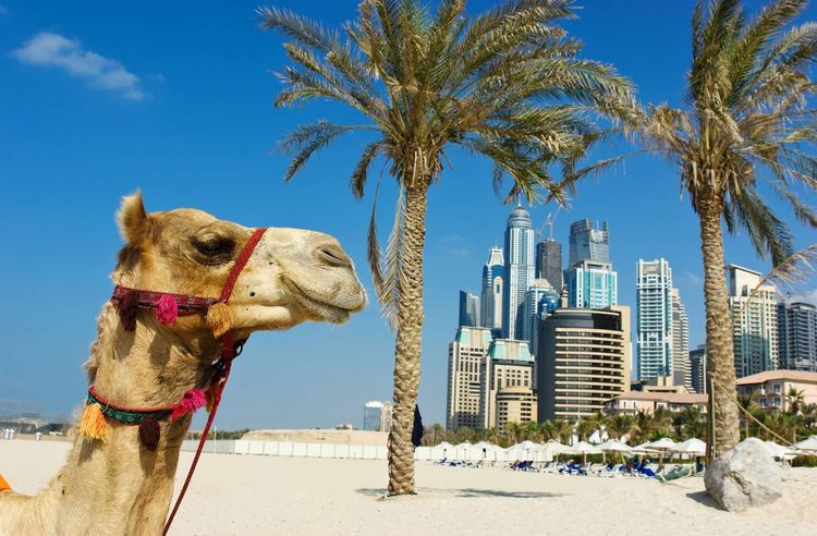 Tourist tax in the UAE 2024