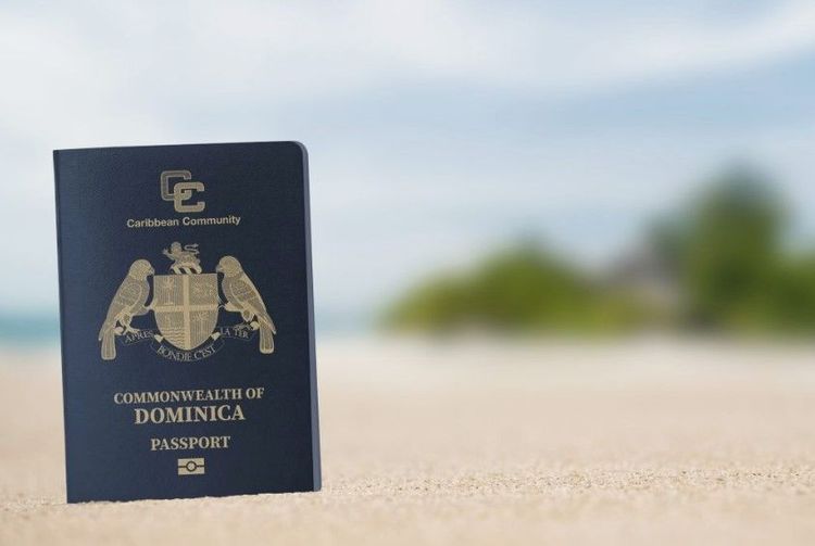 Qu'est-ce que la citoyenneté numérique de la Dominique ?