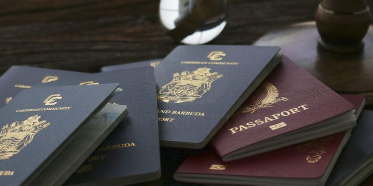 Доступные программы получения гражданства и ВНЖ для граждан России в 2024